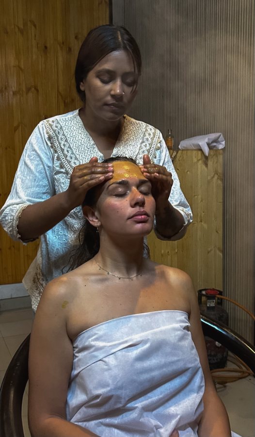 A Guest's Perspective - Vedanjana