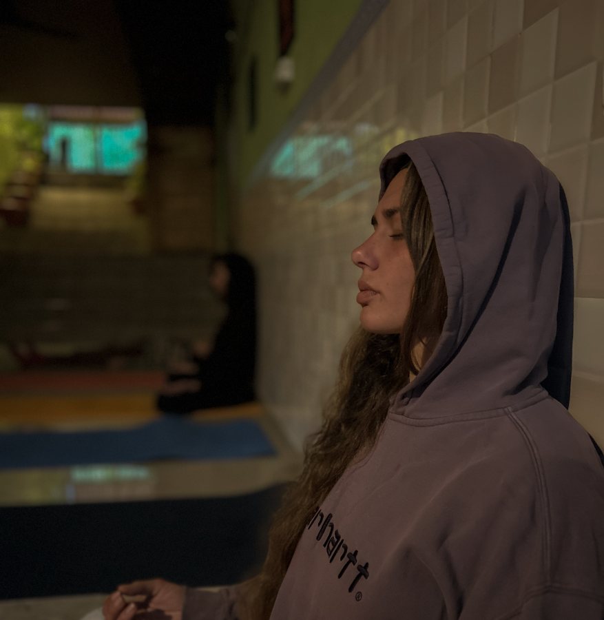 Meditation Session - Vedanjana