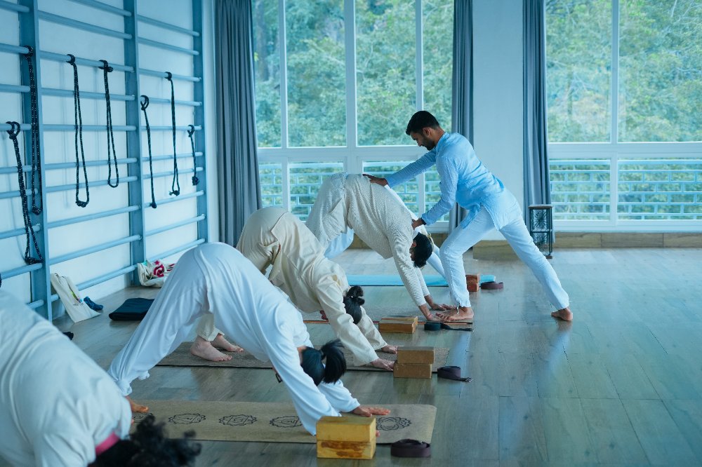 Life at Vedanjana Yoga & Ayurveda Retreat, Rishikesh, photo 6